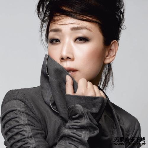 林忆莲-没结果.flac