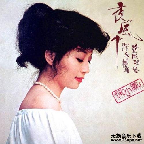 徐小凤-痴情泪.flac