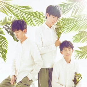 TFBOYS-萤火.flac