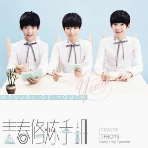 TFBOYS-我们的时光.flac