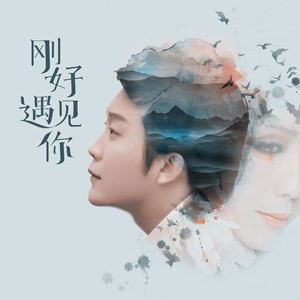 李玉刚-梨花颂.flac